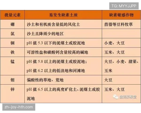 合法冲撞的足球规则判定标准及常见误区解析
